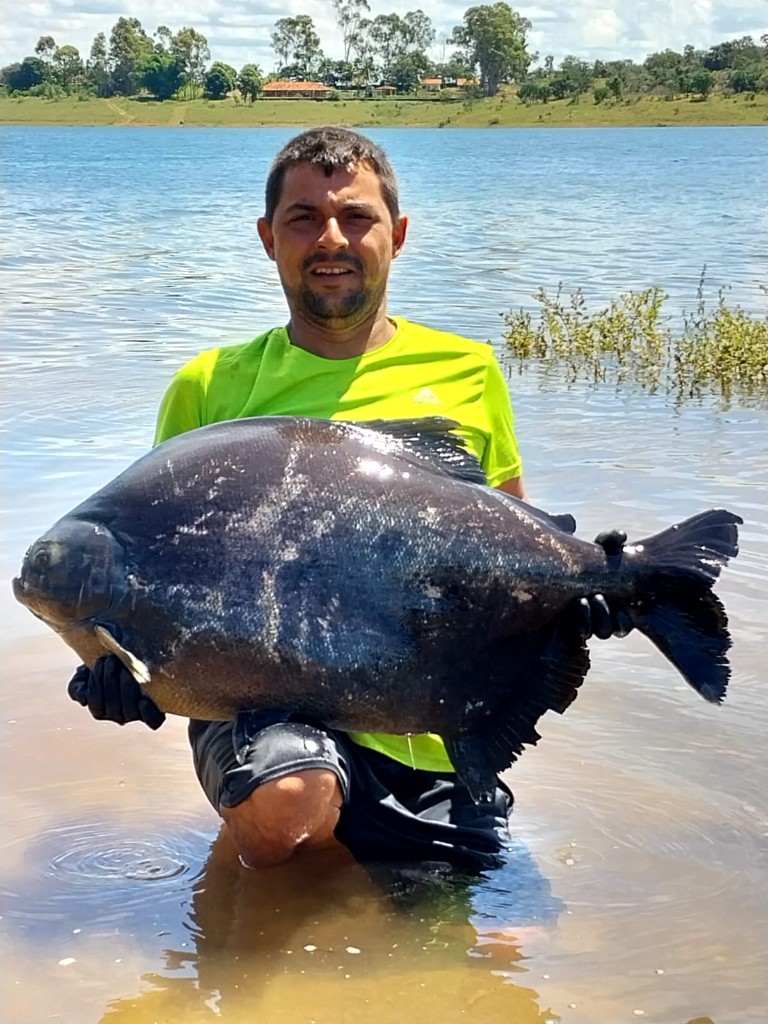 Caranha na água com pescador
